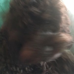 Meet your Posher, Judy